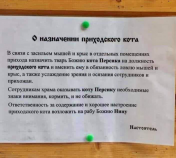  : leeZuD5IzOY.jpg
