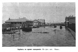  :  18 1905__.jpg
