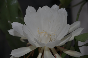 DSC_0382.JPG, 769312 