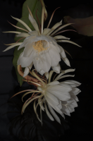 DSC_0436.JPG, 586462 