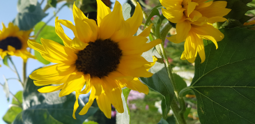  : 20190830_134435.jpg