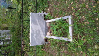  : IMG_20190901_150835.jpg