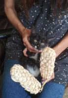 ������������� ����: 20190805_115553_HDR~2.jpg