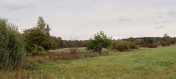 : PA030130.JPG