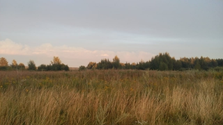  : IMG-20180805-WA0004.jpg