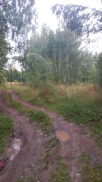 IMG-20180805-WA0006.jpg, 101391 