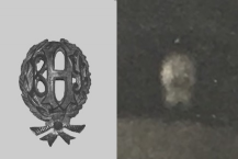  :   .jpg