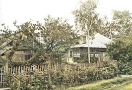  : colorized-image (48).jpg