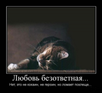  : statusyi-pro-bezotvetnuyu-lyubov.jpg