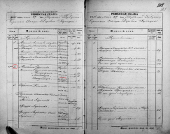 1858   183.jpg, 370795 