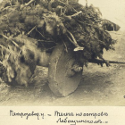 GKUGDdzFAaw.jpg, 62383 