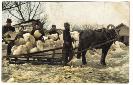 : colorized-image (100).jpg