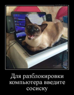ghbl4.jpg.eb154a7e8d8a928db90c2e60da5f5f16.jpg, 69503 