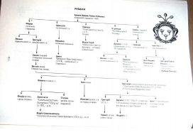 1.jpg, 212489 