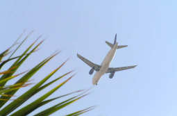 ������������� ����: ������ ������ !.jpg