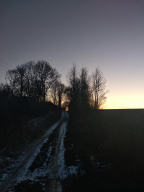  2019 2.jpg, 41646 
