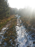 5.jpg, 121209 
