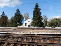 3 bobrov-.jpg, 125879 
