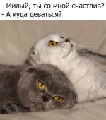 IMG-20180220-WA0003.jpg, 57903 