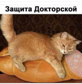 IMG-20180911-WA0047.jpg, 56895 