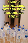 IMG-20180424-WA0003.jpg, 91327 