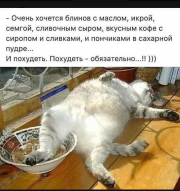  : IMG-20190304-WA0000.jpg