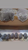  : IMG-20190301-WA0005.jpg