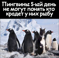 IMG-20190214-WA0001.jpg, 144901 