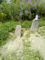  : IMG_20190716_121847.jpg