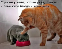  : IMG-20190828-WA0000.jpg