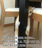 IMG-20190415-WA0000.jpg, 50136 