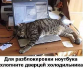 IMG-20190418-WA0002.jpg, 30765 