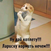 IMG-20190327-WA0009.jpg, 50036 