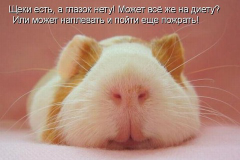  : IMG-20190107-WA0002.jpg