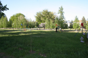 : IMG_3977.jpg