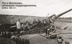 7.jpg, 262790 