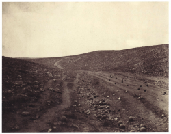 :   ,1855.jpg
