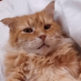  : 2-gif.gif