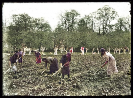 colorized-image - 2020-01-23T205719.201.jpg, 156396 