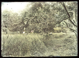 colorized-image - 2020-01-23T210603.170.jpg, 166358 