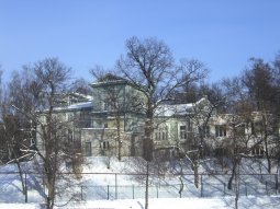 tulinovka02.jpg, 362704 