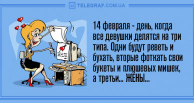  : 6026-388x206.jpg