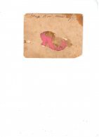  : Scan.jpg