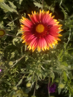  : IMG_20190605_165648.jpg