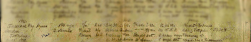  : file (2).jpeg