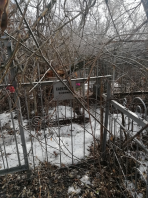  : IMG_20200307_121148.jpg