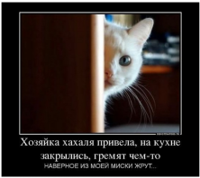  : Screenshot_20200309_184017.jpg