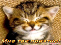  : 6161033_10655.jpg