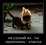  : Screenshot_20200320_190103.jpg