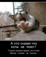  : Screenshot_20200320_195223.jpg